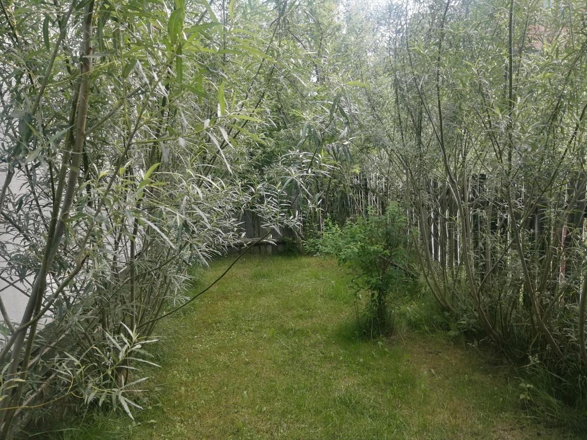 Ostoja Apartment Bialowieza Exterior photo
